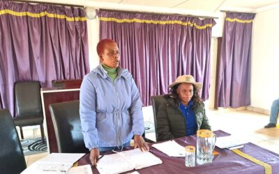Ward meetings in progress