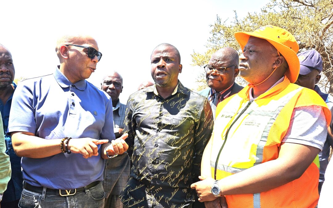 Minister launches pilot Solar Micro Grid Energy Project at Musina