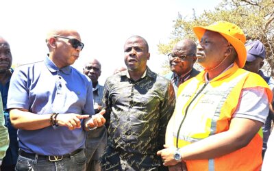 Minister launches pilot Solar Micro Grid Energy Project at Musina
